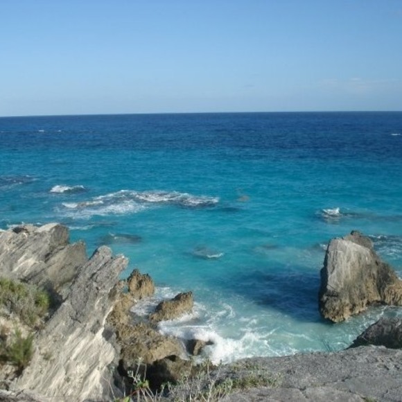 Meet your Posher, Renee - Picture 1 of 1